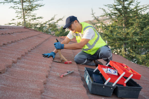Roof Gutter Cleaning in Enola, PA